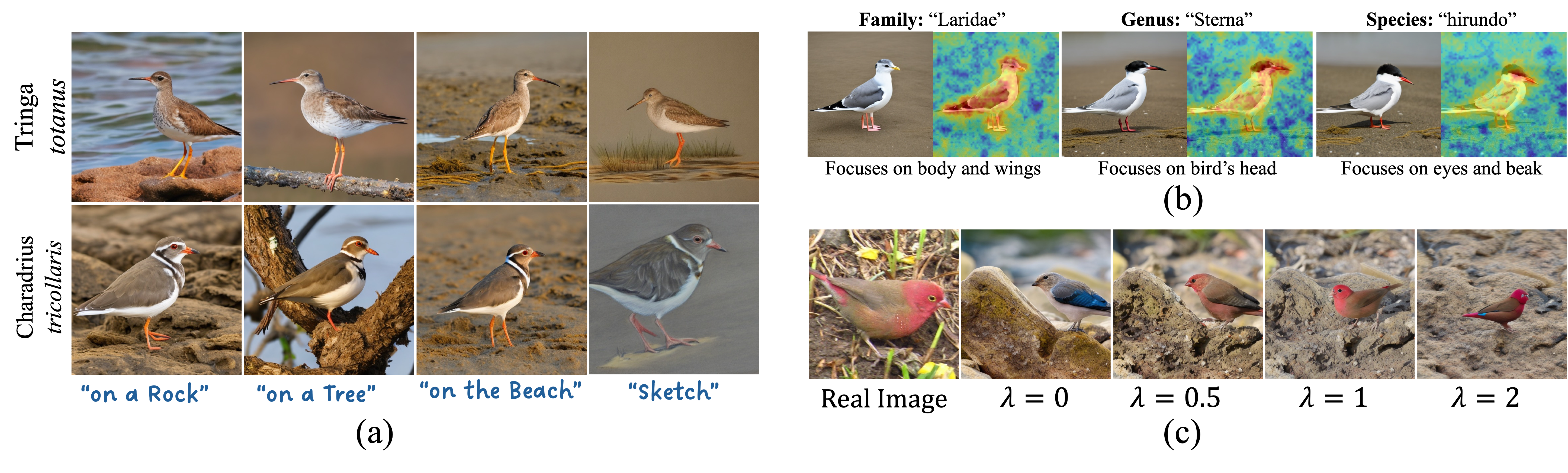 Generalization Capabilities of TaxaAdapter