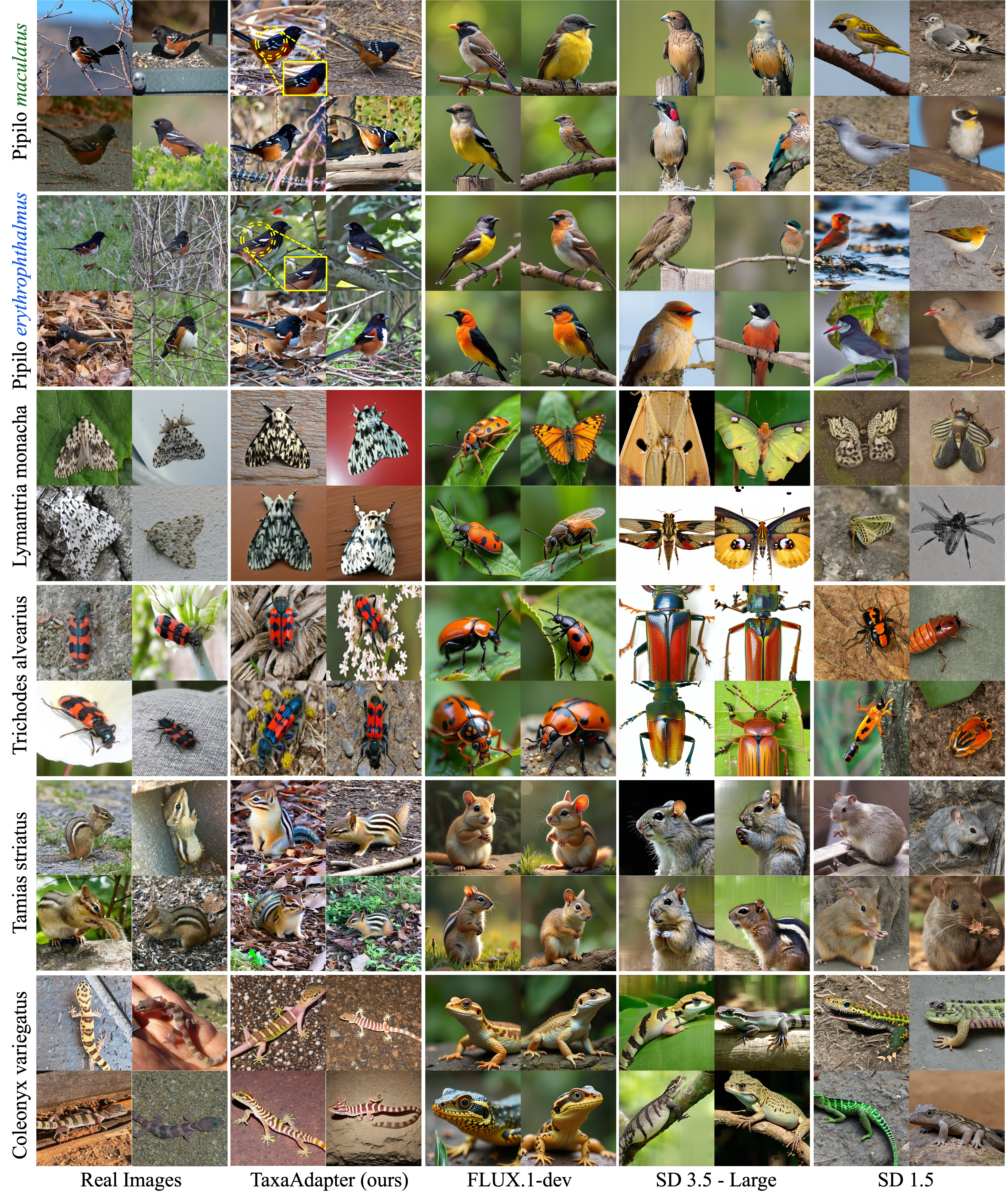 Main Results - Slide 1