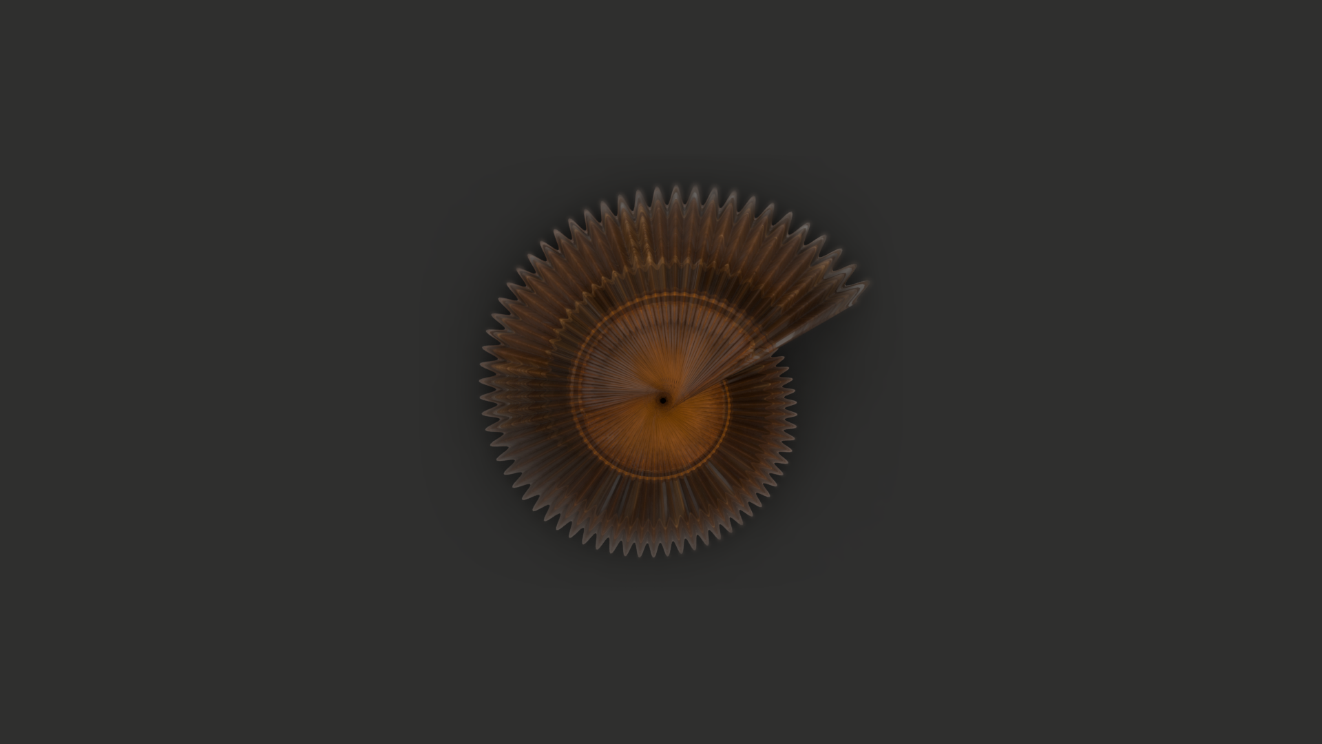 Museum-style shell specimen imaging with TraitBlender