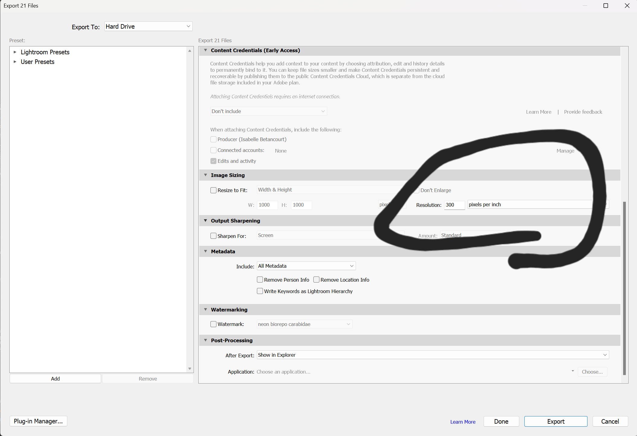 ref photo...resolution setting with 300 filled in the box, followed by pixels per inch as the unit of measure