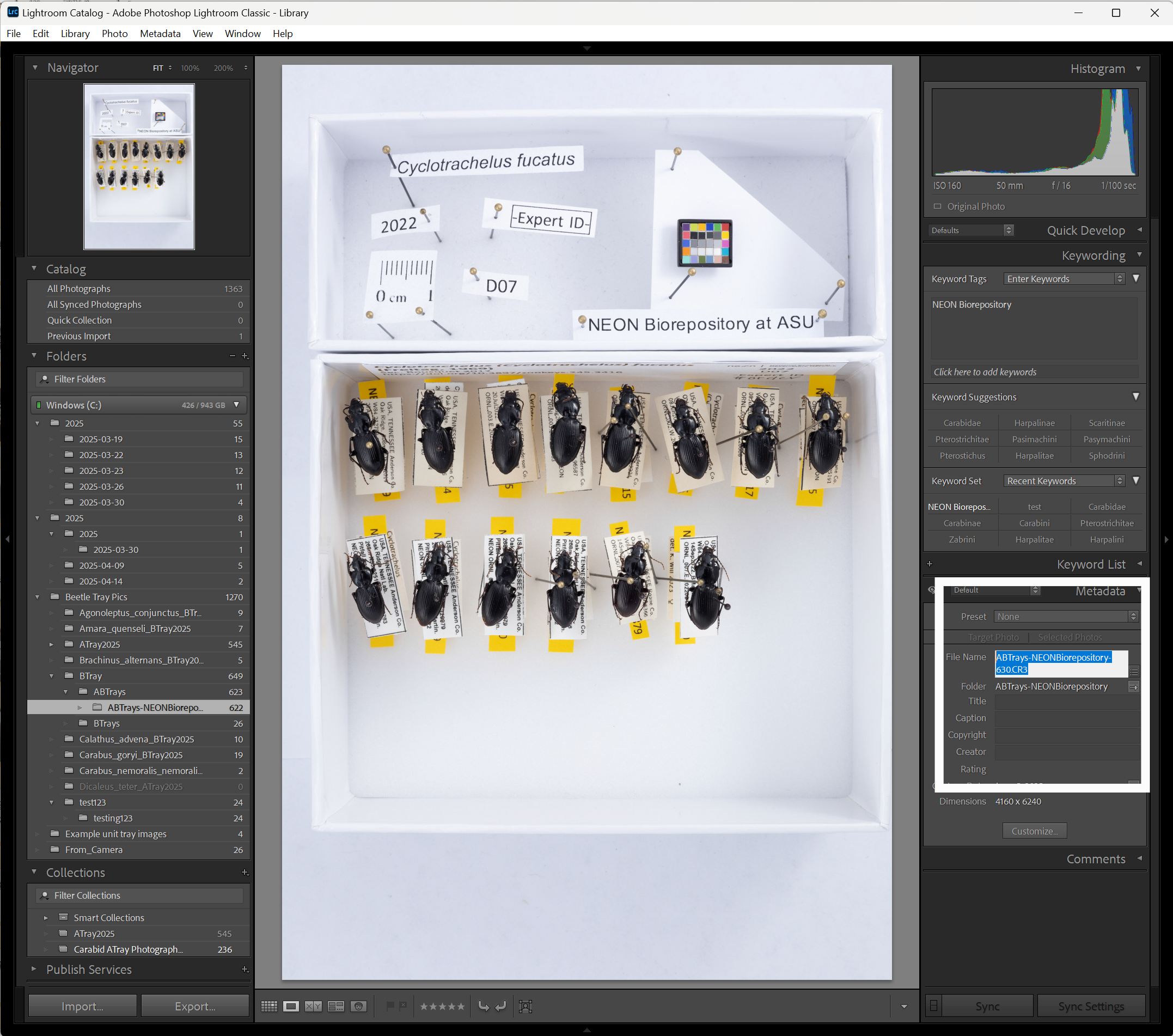 Screen shot of lightroom interface with white box around the screen region where the file name can be found and the file name selected to copy
