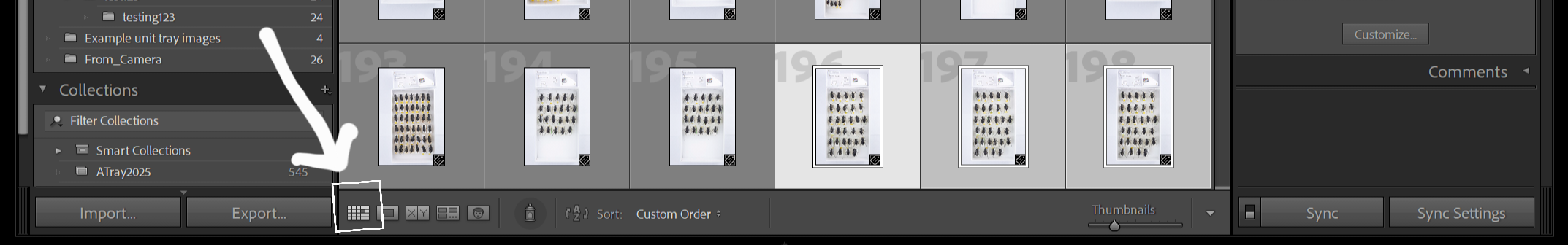 ref photo: Screen shot of the bottom of the lightroom UI with the button to toggle to grid view highlighted by a box and arrow