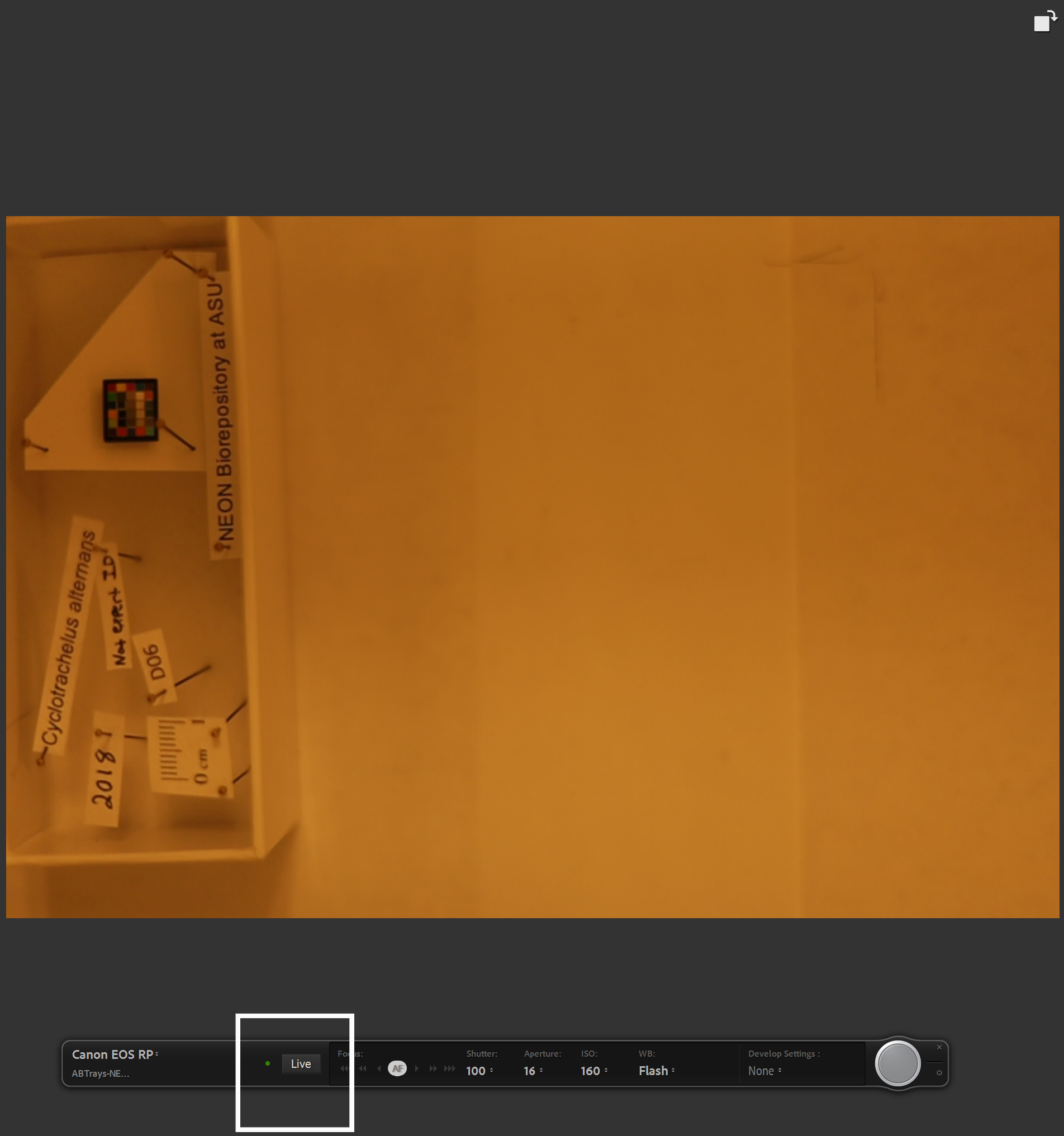 Screen shot of the UI of Lightroom used to activate live view