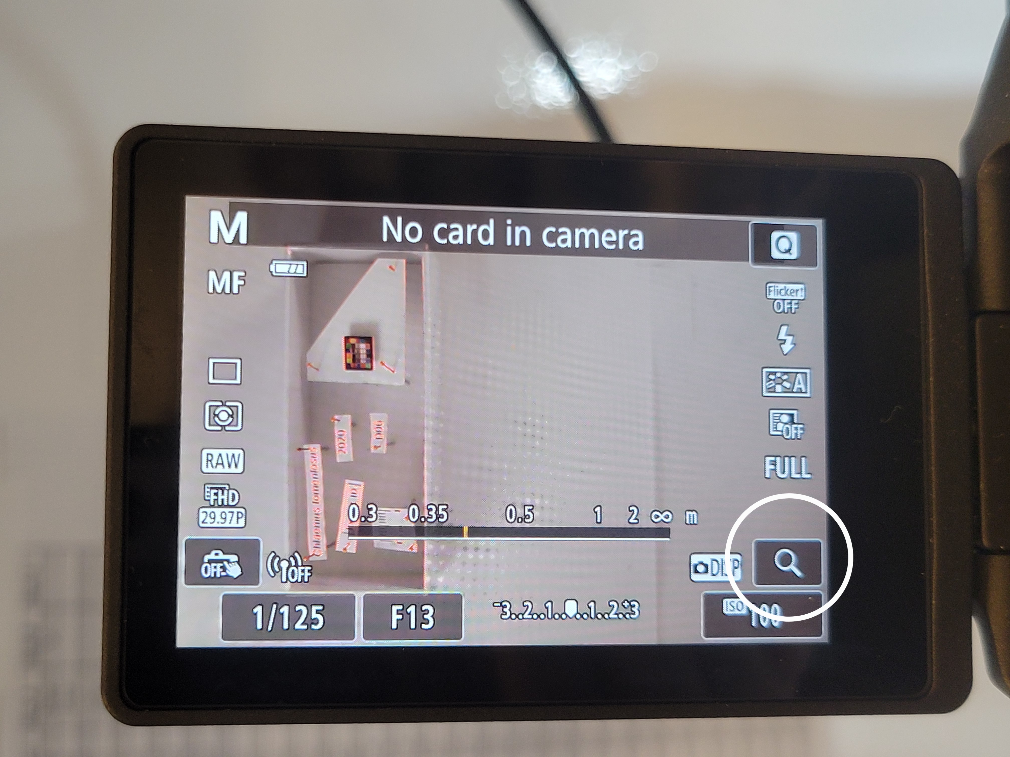 Image of the camera screen view with circle around the magnifying button