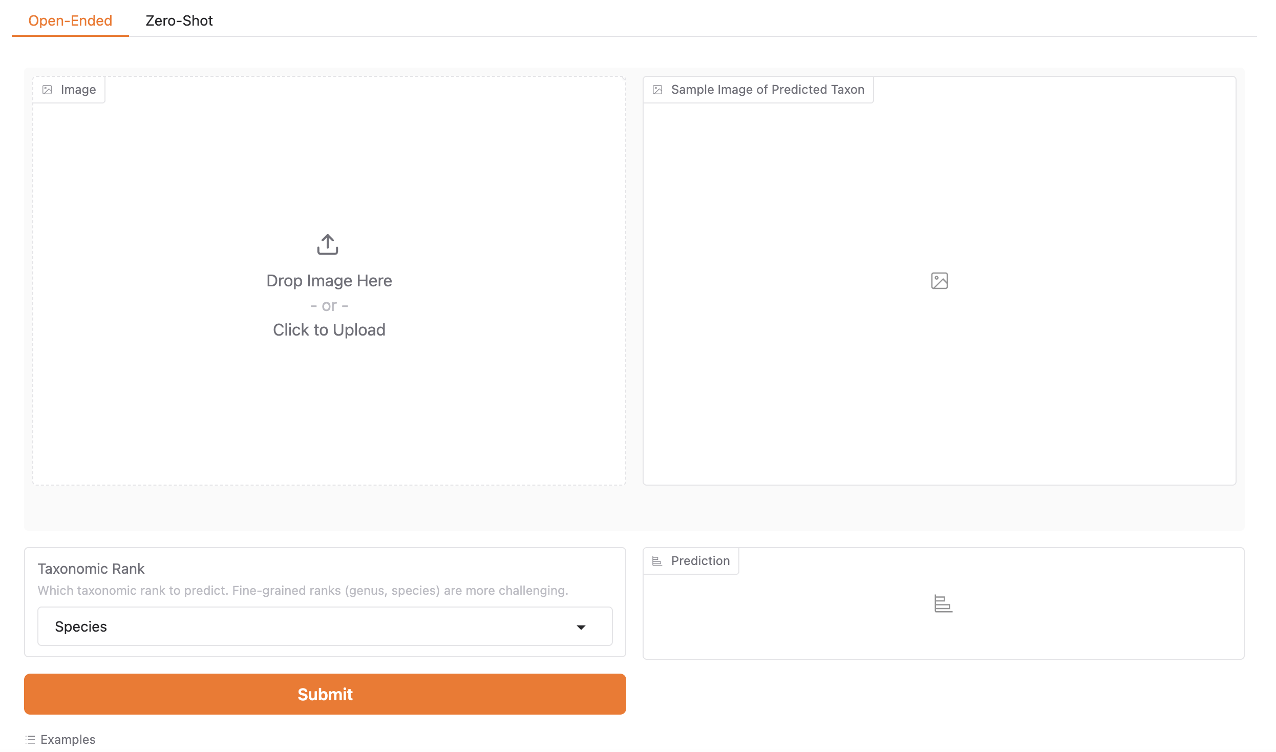 BioCLIP Demo Interface