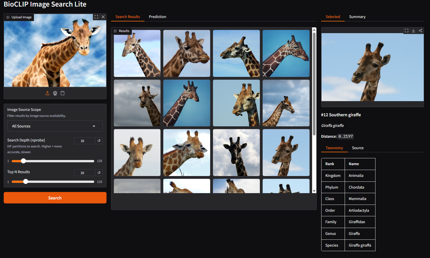 Search results for a giraffe image, with a selected result showing taxonomy and source metadata.