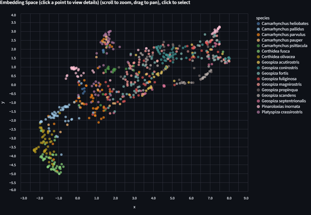 UMAP colored by species