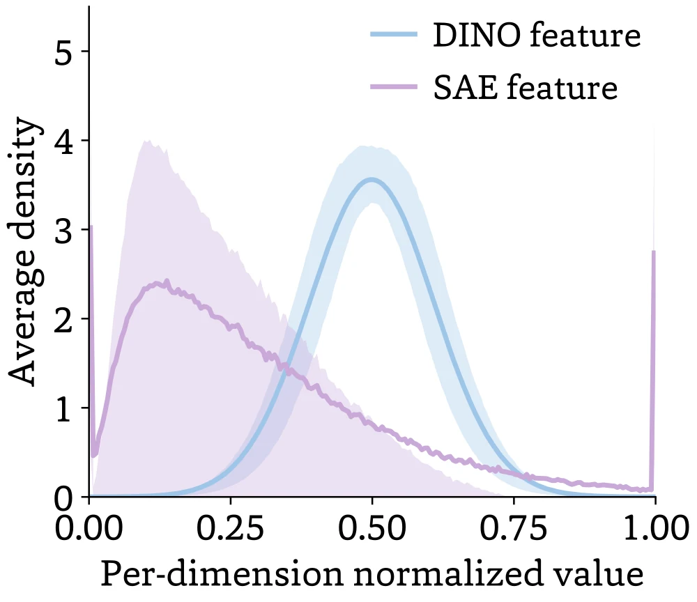Average per-dimension activation density: DINO features follow a single bell-shaped distribution, while SAE features show multiple peaks.