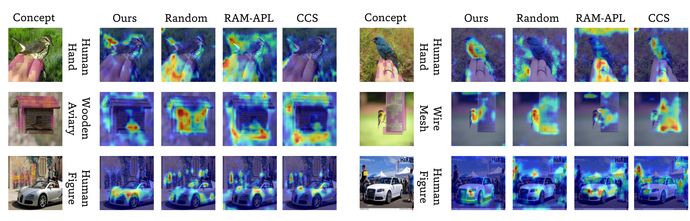 Additional Finer-CAM attribution maps on NABirds and Stanford Cars comparing our method, Random, RAM-APL, and CCS.