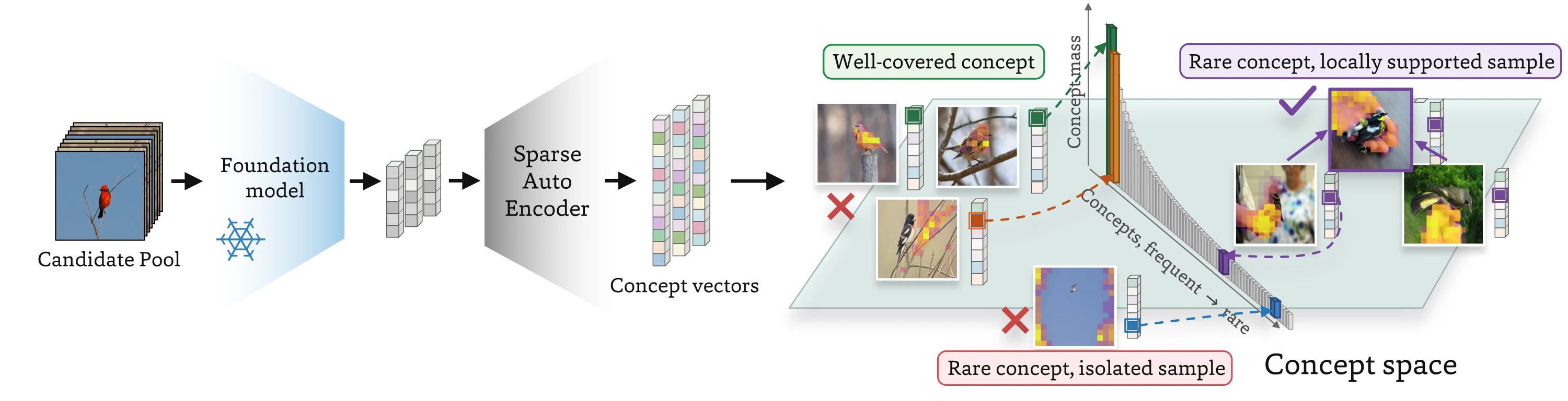 Pipeline: candidate images pass through a frozen foundation model and a sparse autoencoder to produce concept vectors. In concept space, a sample with a well-covered concept and an isolated sample with a rare concept are rejected, while a locally supported sample with a rare concept is selected.