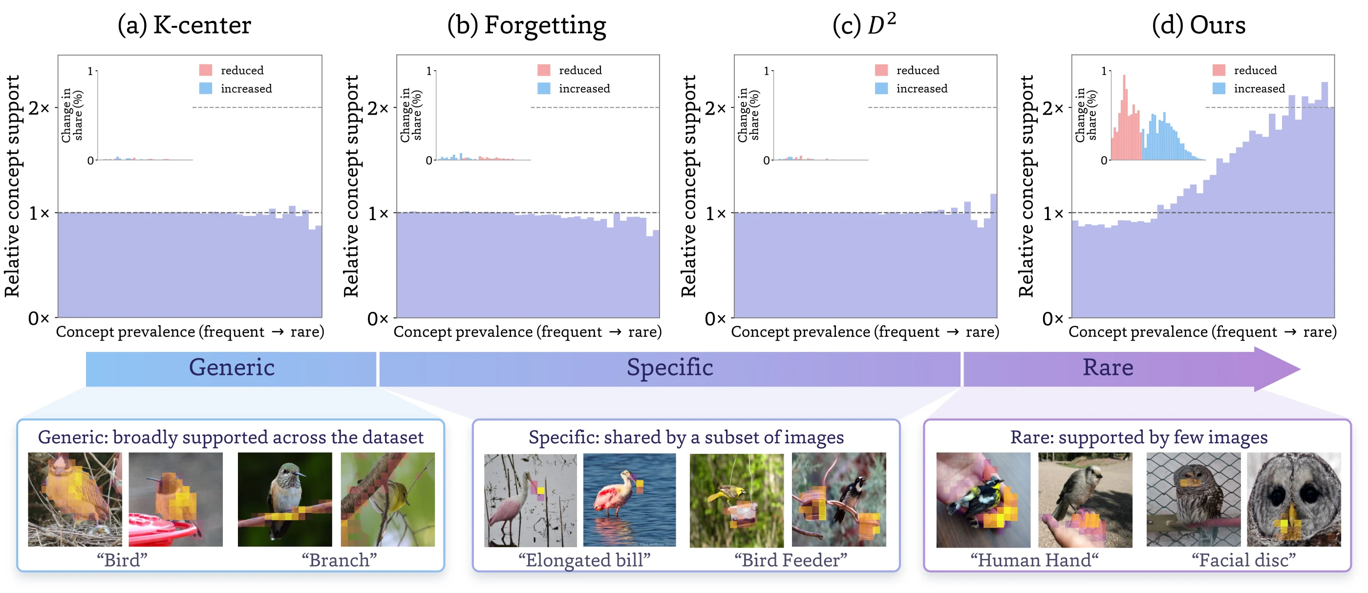 Relative concept support of K-Center, Forgetting, D2-Pruning, and our method across concept prevalence; only ours amplifies rare concepts. Below, example SAE concepts from generic (bird, branch) through specific (elongated bill, bird feeder) to rare (human hand, facial disc).