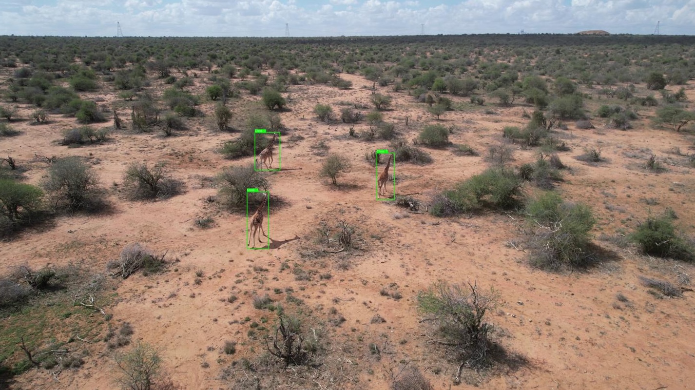 Mpala Session 1 showing wildlife