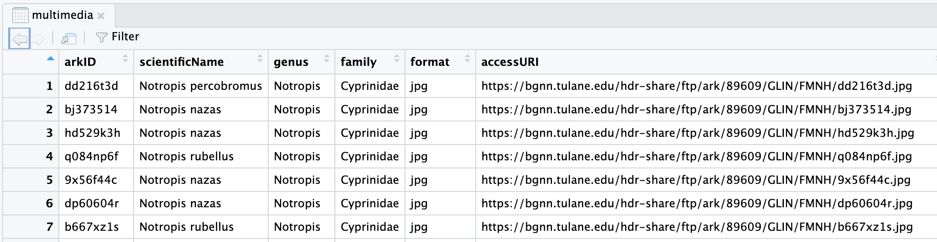 multimedia CSV screenshot