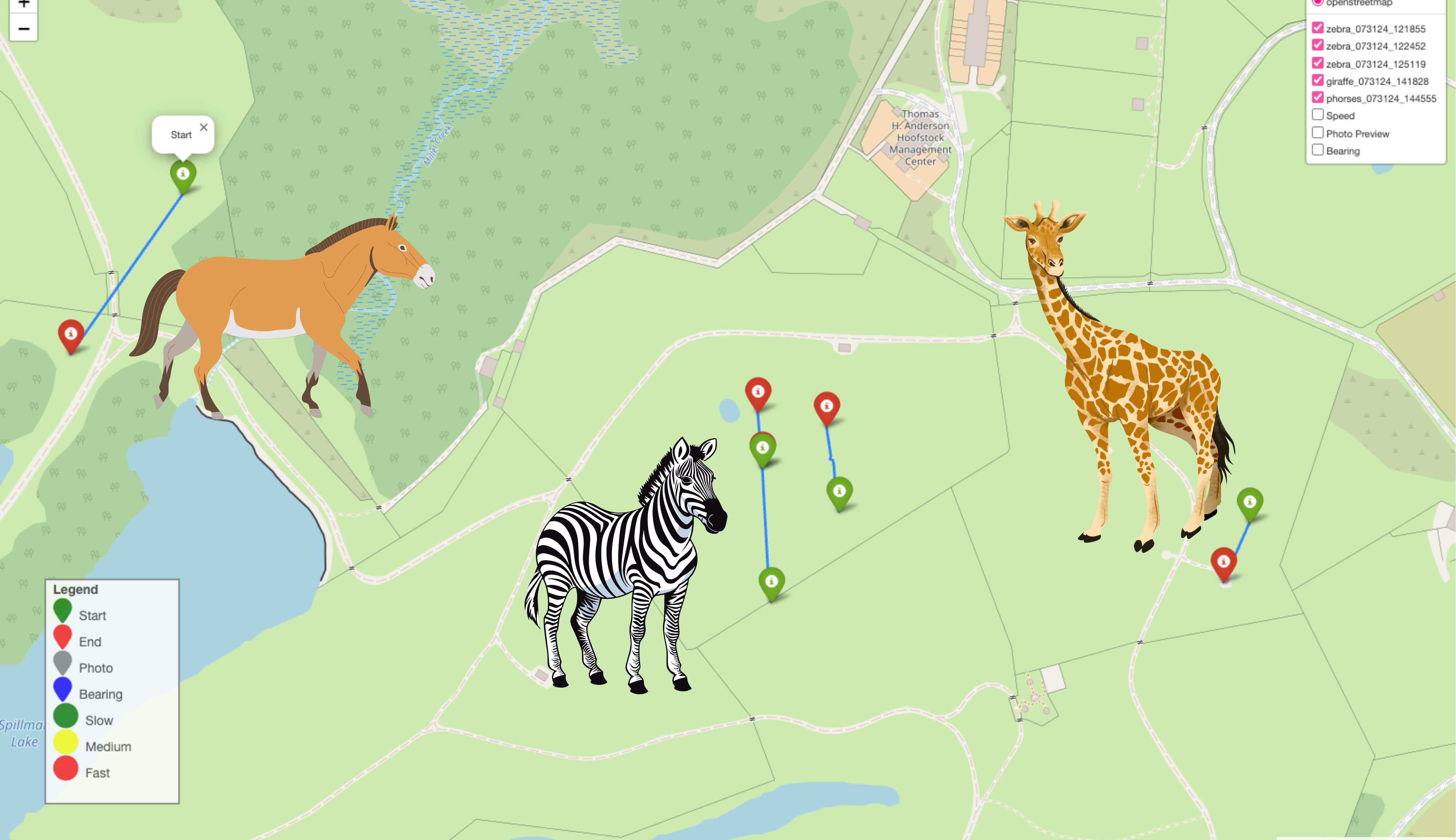 Map displaying drone missions with photos of the animals surveyed, including horses, giraffes, and zebras.